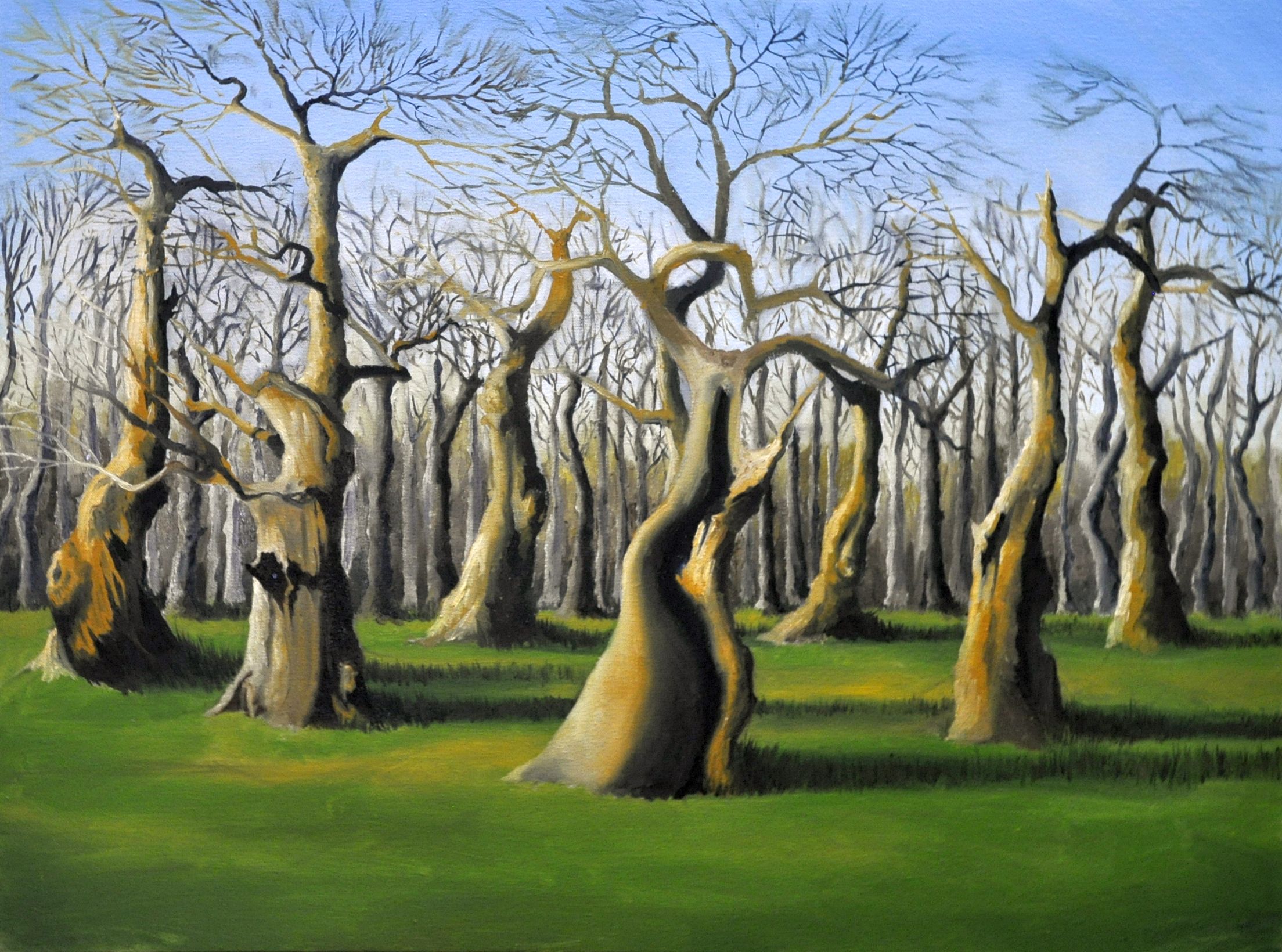 Blenheim Garden, Oil