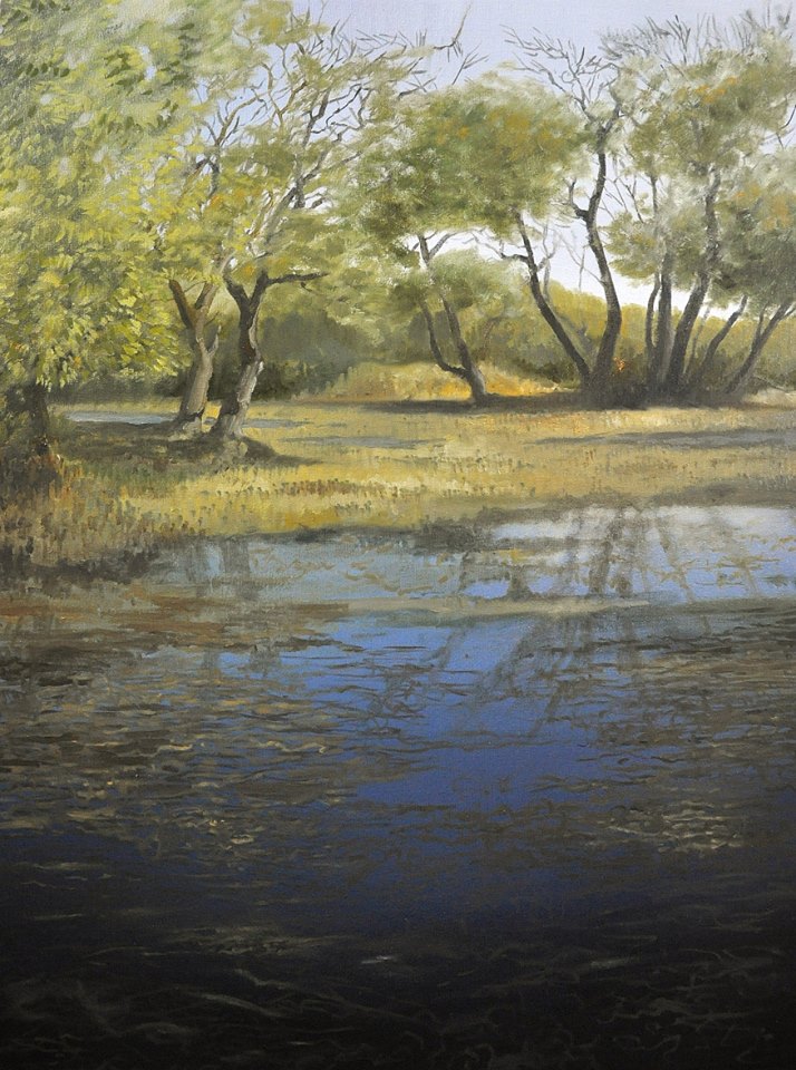 Bharatpur Marsh, Oil, 2013