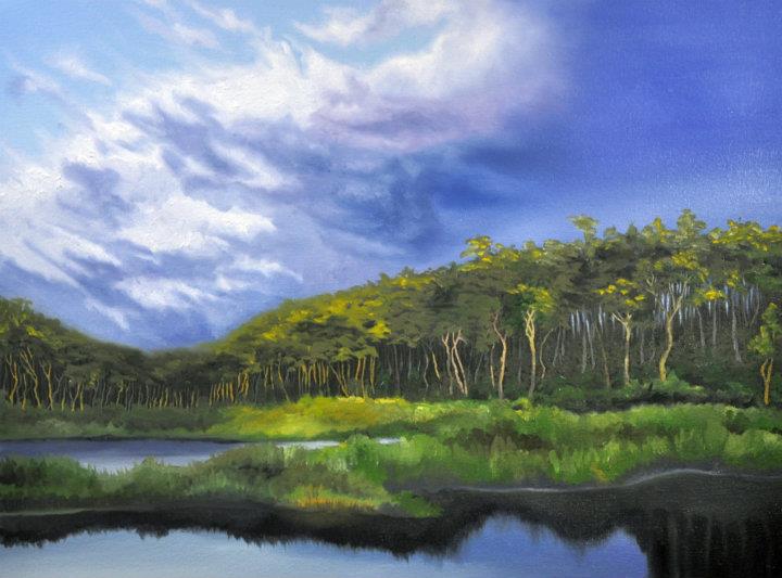 Coorg Lake, Oil, 2011
