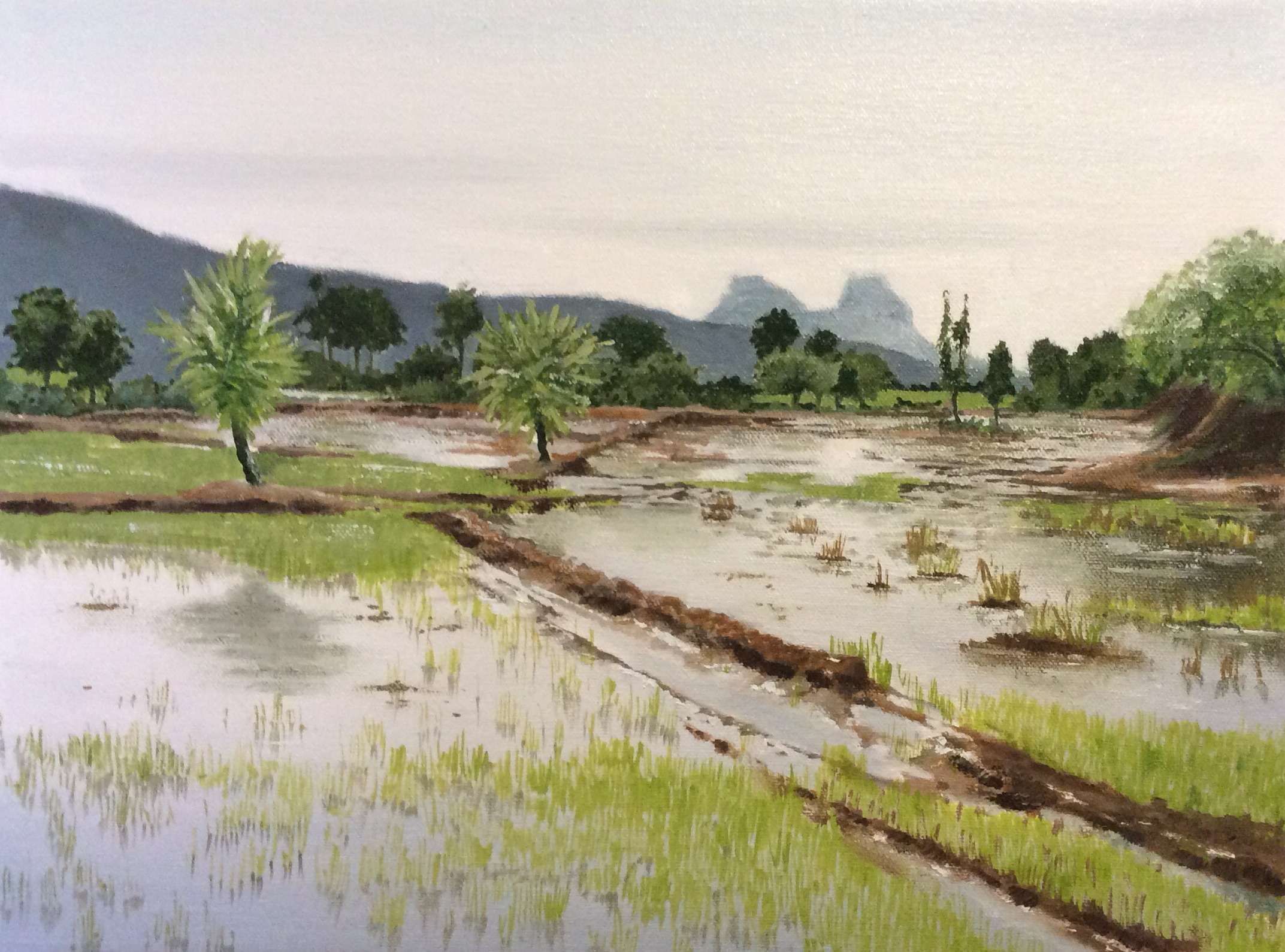 Kumbharghar Rice Fields, Oil, 2016