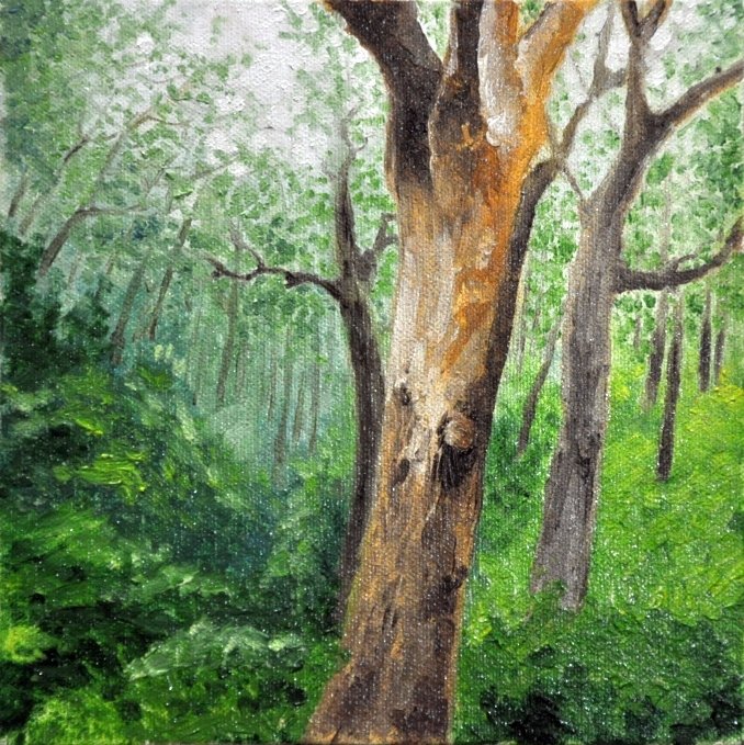Monsoon Forest, Oil, 2012
