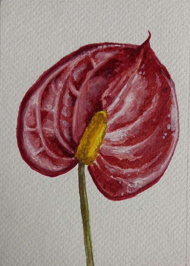 Anthurium leaf, Oil postcard, 2025