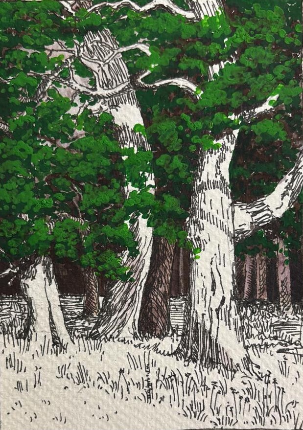 Trees, Oil postcard, 2025